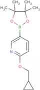 2-(Cyclopropylmethoxy)pyridine-5-boronic acid, pinacol ester