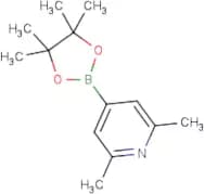 2,6-Dimethylpyridine-4-boronic acid, pinacol ester