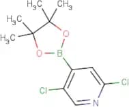 2,5-Dichloropyridine-4-boronic acid, pinacol ester