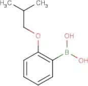 2-Isobutoxyphenylboronic acid