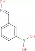 3-(Hydroxyimino)methylphenylboronic acid
