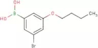 3-Bromo-5-butoxyphenylboronic acid