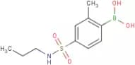 2-Methyl-4-(N-propylsulfamoyl)phenylboronic acid