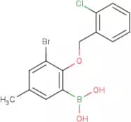 3-Bromo-2-(2'-chlorobenzyloxy)-5-methylphenylboronic acid