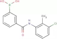 N-(3-Chloro-2-methylphenyl) 3-boronobenzamide