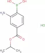 2-Amino-4-(isopropoxycarbonyl)phenylboronic acid hydrochloride