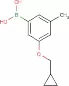 3-(Cyclopropylmethoxy)-5-methylphenylboronic acid