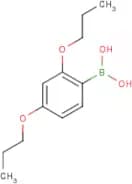 2,4-Dipropoxyphenylboronic acid