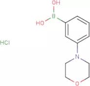 3-Morpholinophenylboronic acid hydrochloride