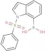 1-Benzenesulfonyl-1H-indole-7-boronic acid