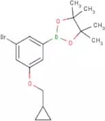 3-Bromo-5-(cyclopropylmethoxy)phenylboronic acid, pinacol ester
