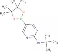 2-tert-Butylaminopyrimidine-5-boronic acid, pinacol ester