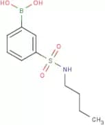 N-Butyl 3-boronobenzenesulfonamide