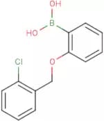 2-(2'-Chlorobenzyloxy)phenylboronic acid