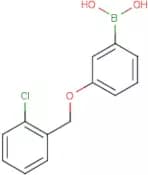 3-(2'-Chlorobenzyloxy)phenylboronic acid