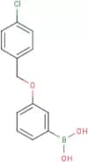 3-(4'-Chlorobenzyloxy)phenylboronic acid