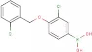 3-Chloro-4-(2'-chlorobenzyloxy)phenylboronic acid