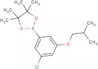 3-Chloro-5-isobutoxyphenylboronic acid, pinacol ester