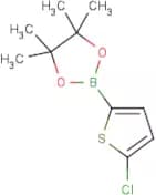 5-Chlorothiophene-2-boronic acid, pinacol ester