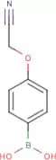 4-Cyanomethoxyphenylboronic acid