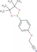 4-Cyanomethoxyphenylboronic acid, pinacol ester