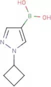 (1-Cyclobutylpyrazol-4-yl)boronic acid
