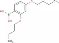 2,4-Dibutoxyphenylboronic acid