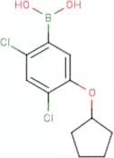 2,4-Dichloro-5-(cyclopentyloxy)phenylboronic acid
