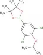 3,5-Dichloro-4-isopropoxyphenylboronic acid, pinacol ester