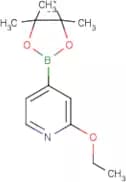 2-Ethoxypyridine-4-boronic acid, pinacol ester