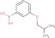 3-Isobutoxyphenylboronic acid
