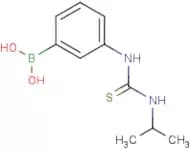 3-(3-Isopropylthioureido)phenylboronic acid