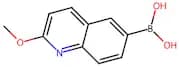 2-Methoxyquinolin-6-ylboronic acid
