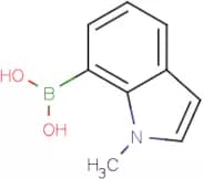 1-Methylindole-7-boronic acid