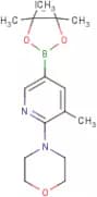5-Methyl-6-morpholinylpyridine-3-boronic acid, pinacol ester