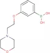 3-(2-Morpholinoethoxy)phenylboronic acid