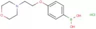 4-(2-Morpholinoethoxy)phenylboronic acid hydrochloride