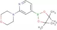 2-Morpholinopyridine-4-boronic acid, pinacol ester