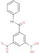 3-(Phenylaminocarbonyl)-5-nitrophenylboronic acid