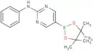 2-Phenylaminopyrimidine-5-boronic acid, pinacol ester