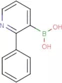 2-Phenylpyridine-3-boronic acid