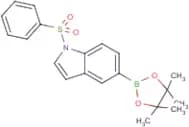 1-(Phenylsulfonyl)indole-5-boronic acid, pinacol ester