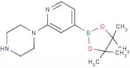 2-(Piperazin-1-yl)pyridine-4-boronic acid, pinacol ester