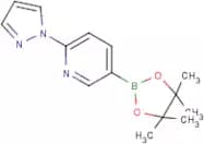 2-(1H-Pyrazol-1-yl)pyridine-5-boronic acid, pinacol ester