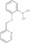 2-(Pyridin-2-ylmethoxy)phenylboronic acid