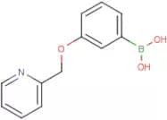 3-(Pyridin-2-ylmethoxy)phenylboronic acid