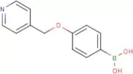 4-(Pyridin-4-ylmethoxy)phenylboronic acid