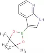 1H-Pyrrolo[2,3-b]pyridine-3-boronic acid, pinacol ester