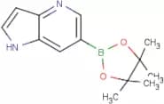 1H-Pyrrolo[3,2-b]pyridine-6-boronic acid, pinacol ester