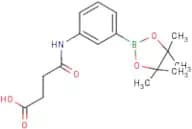 3-Succinamidophenylboronic acid, pinacol ester